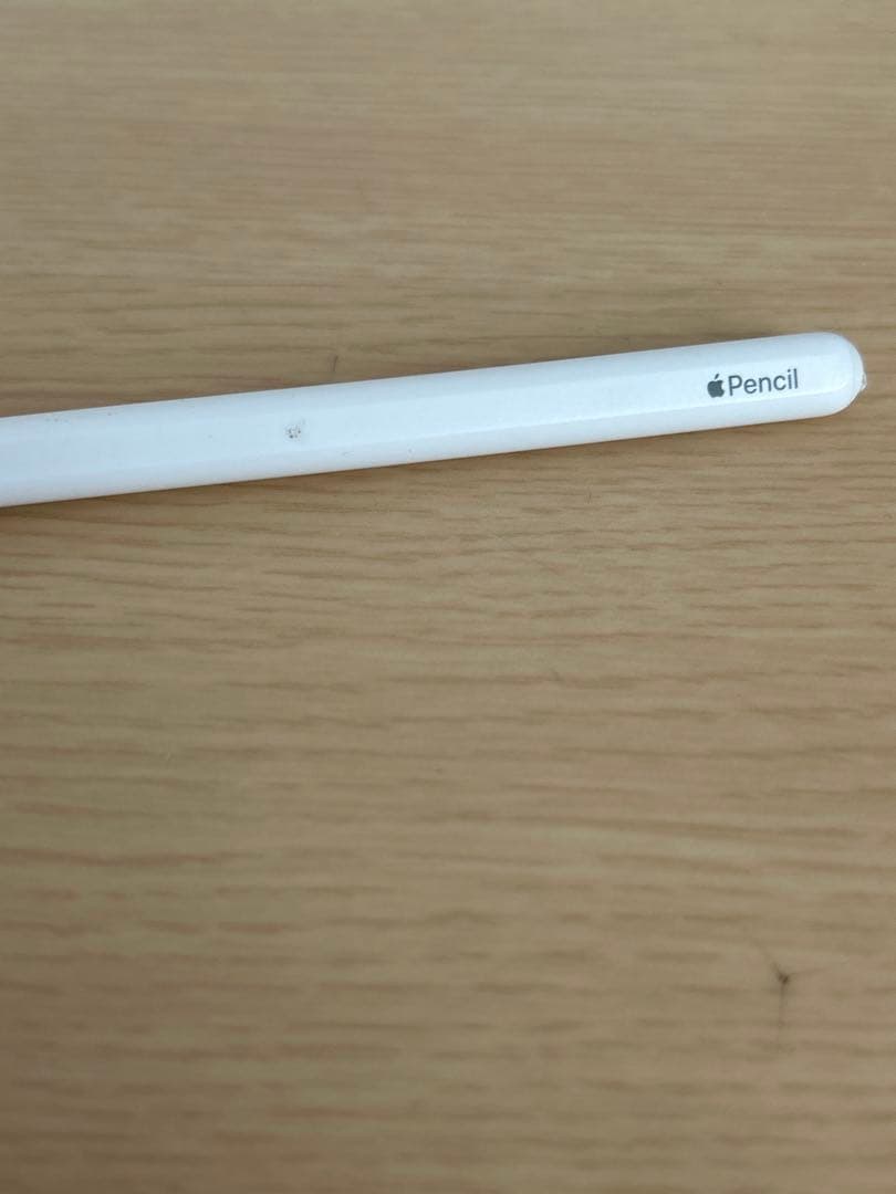 グ*ク様 iPad Pro （第2世代 11インチ）Apple Pencil（第