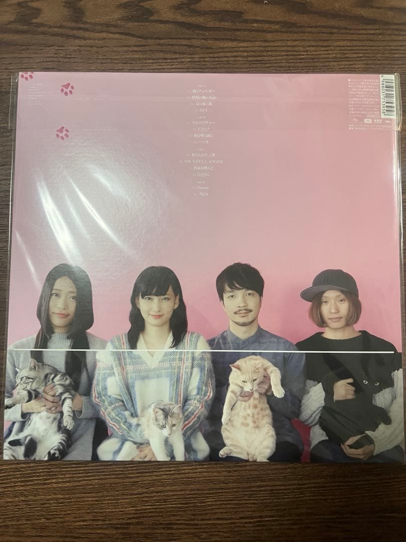 猫とアレルギー　LP きのこ帝国