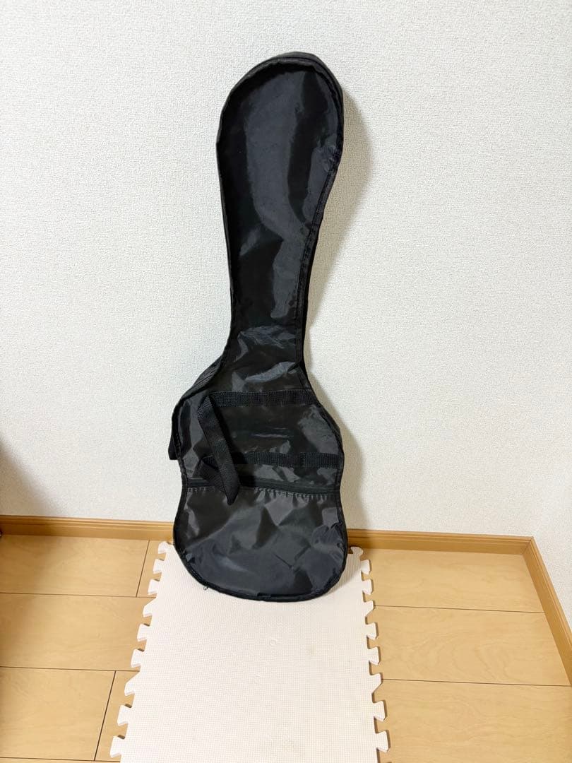 R*e様 良品 SELDER エレキギター初心者セット