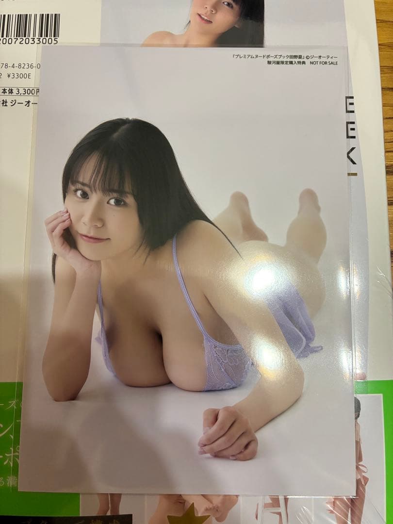 【シュリンク・帯あり・生写真付き】プレミアムヌードポーズブック・田野憂