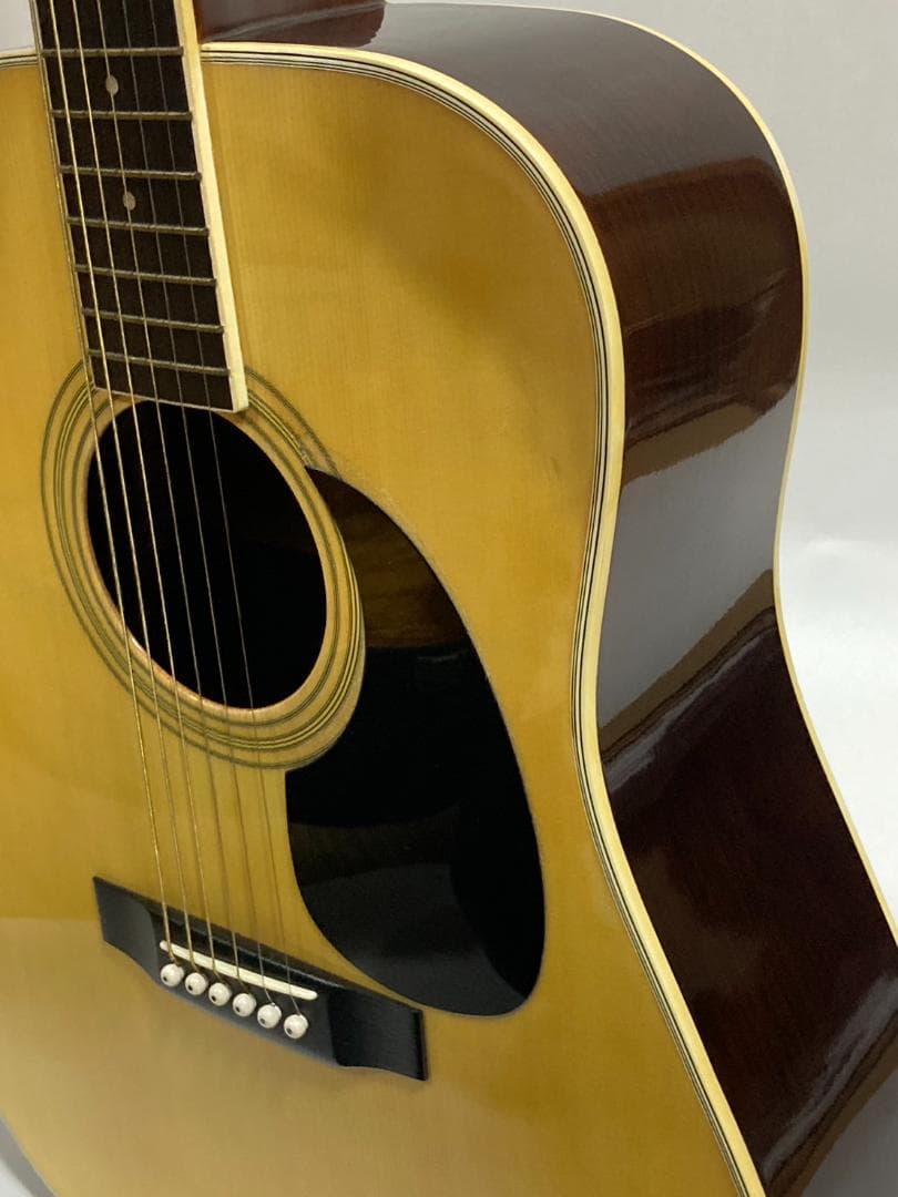 Morris アコースティックギター W-20