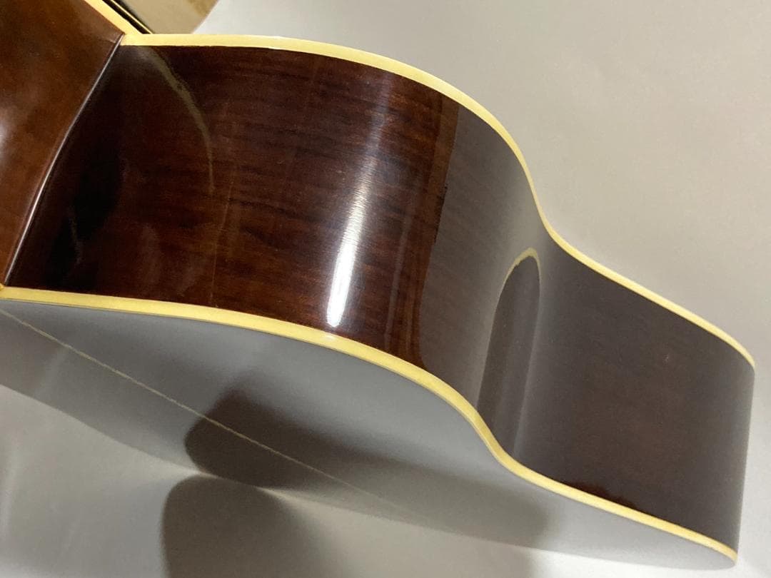 Morris アコースティックギター W-20