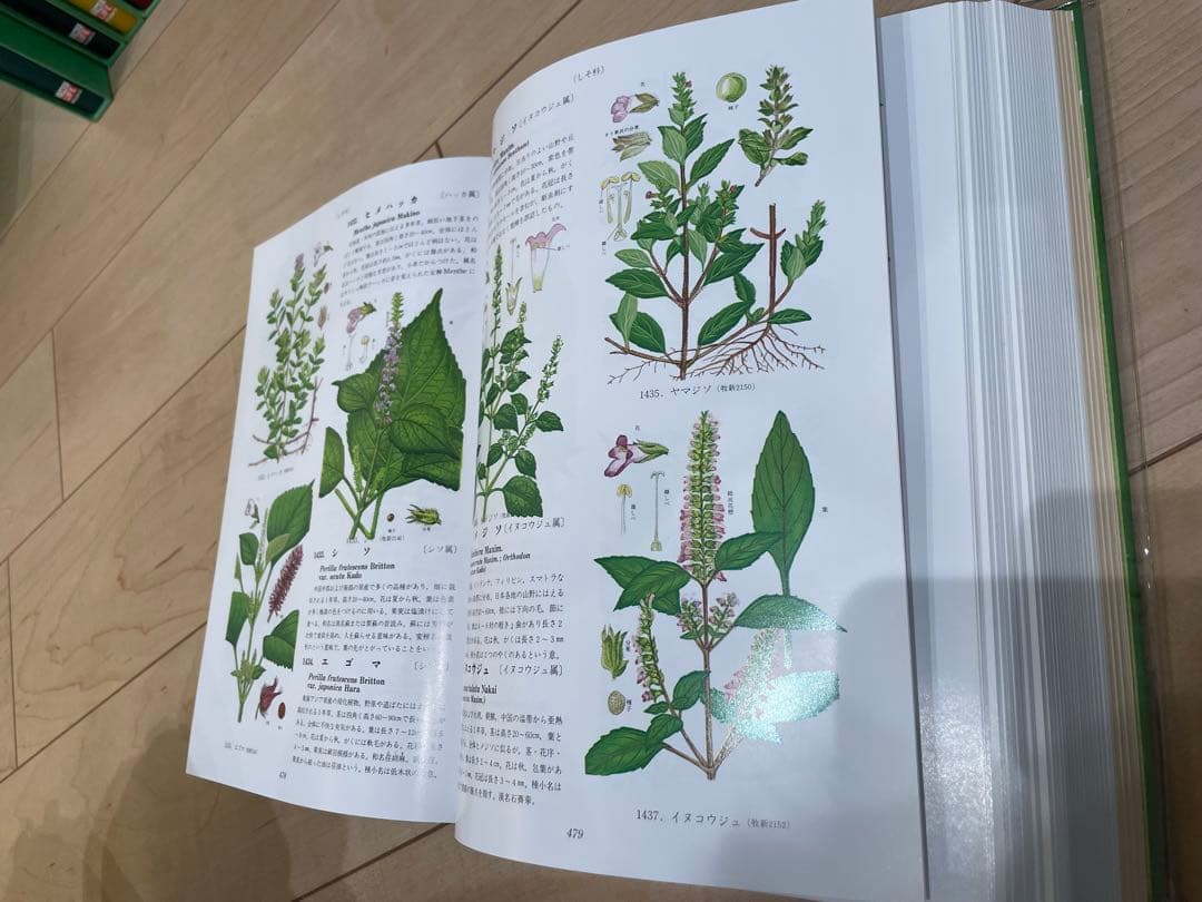原色牧野植物大図鑑