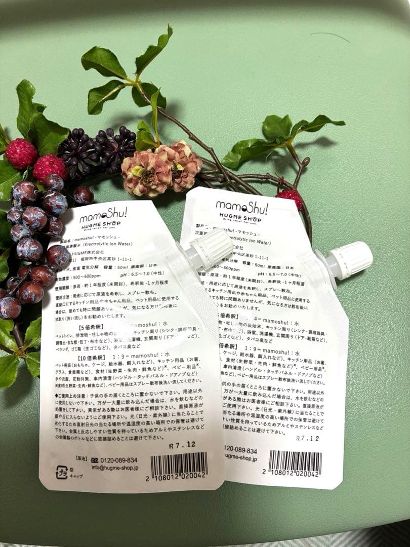 マモッシュ　電解イオン水ペット除菌消臭スプレー希釈タイプ50ml✖️2個ボトル付き