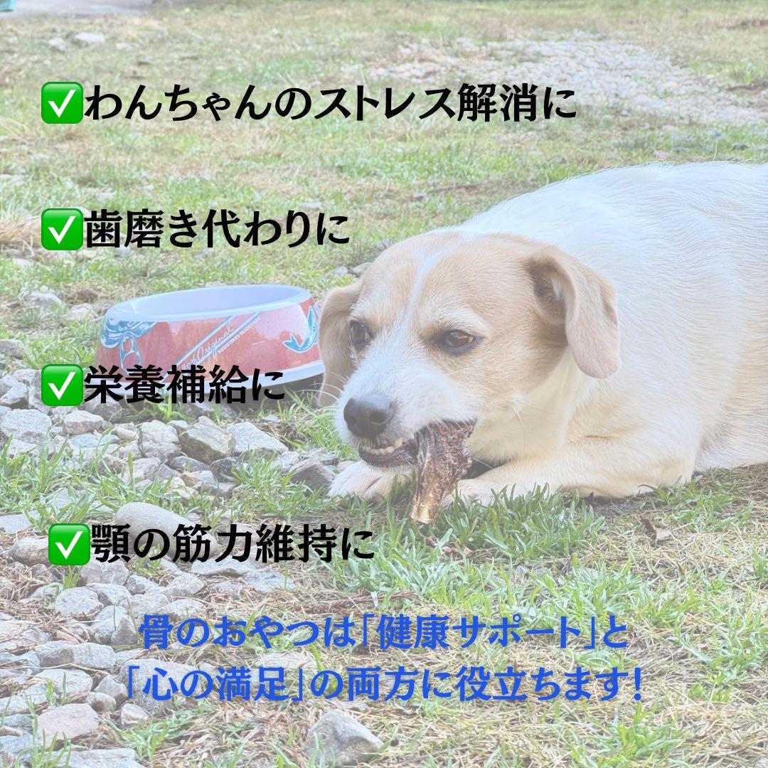 お得用‼️鹿あばらジャーキー 1kg 中小型犬向けサイズ 鹿肉ジャーキー