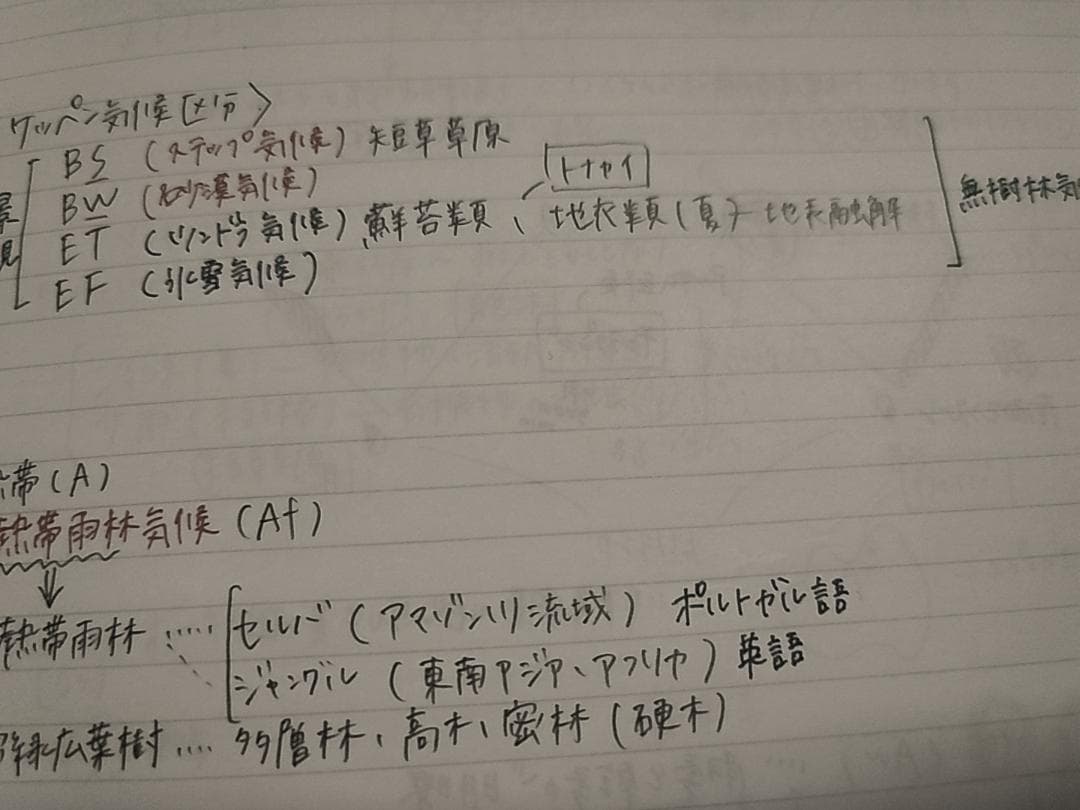 駿台の24年通期井上先生による地理学習ノートフルセット　鉄緑会　河合塾