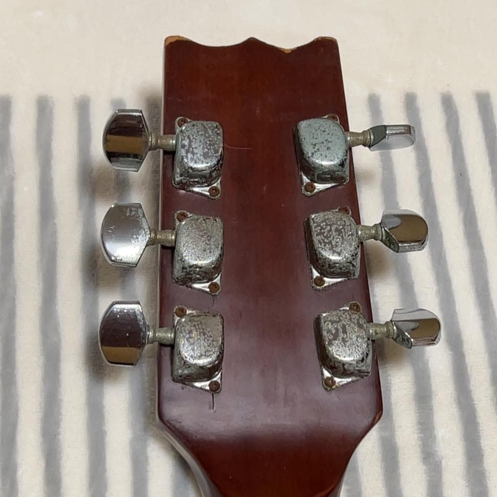 タケハル TAKEHARU WT-250 アコースティックギター