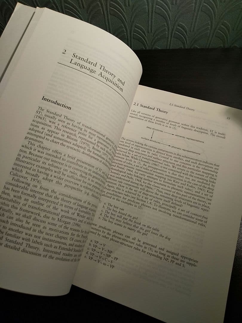 〈洋書〉児童統語論：原理とパラメータ理論入門／☆書き込み無し保証