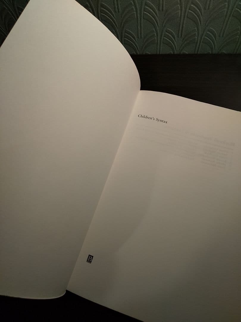 〈洋書〉児童統語論：原理とパラメータ理論入門／☆書き込み無し保証