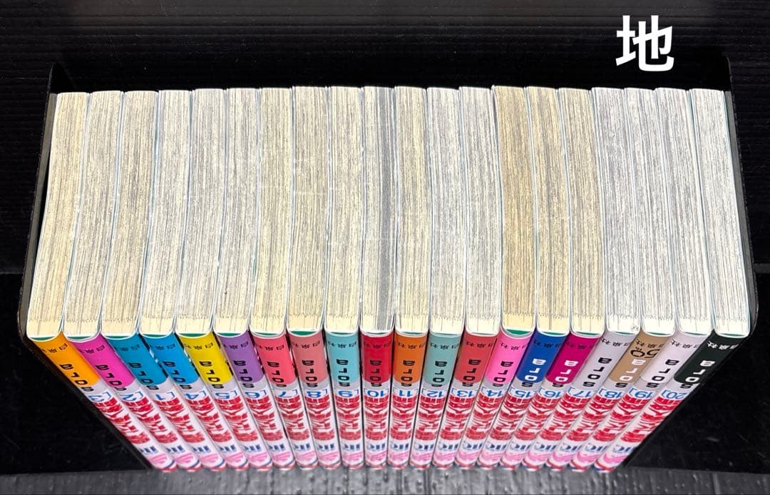 墜落JKと廃人教師 1-20巻 全巻 花とゆめ 付録
