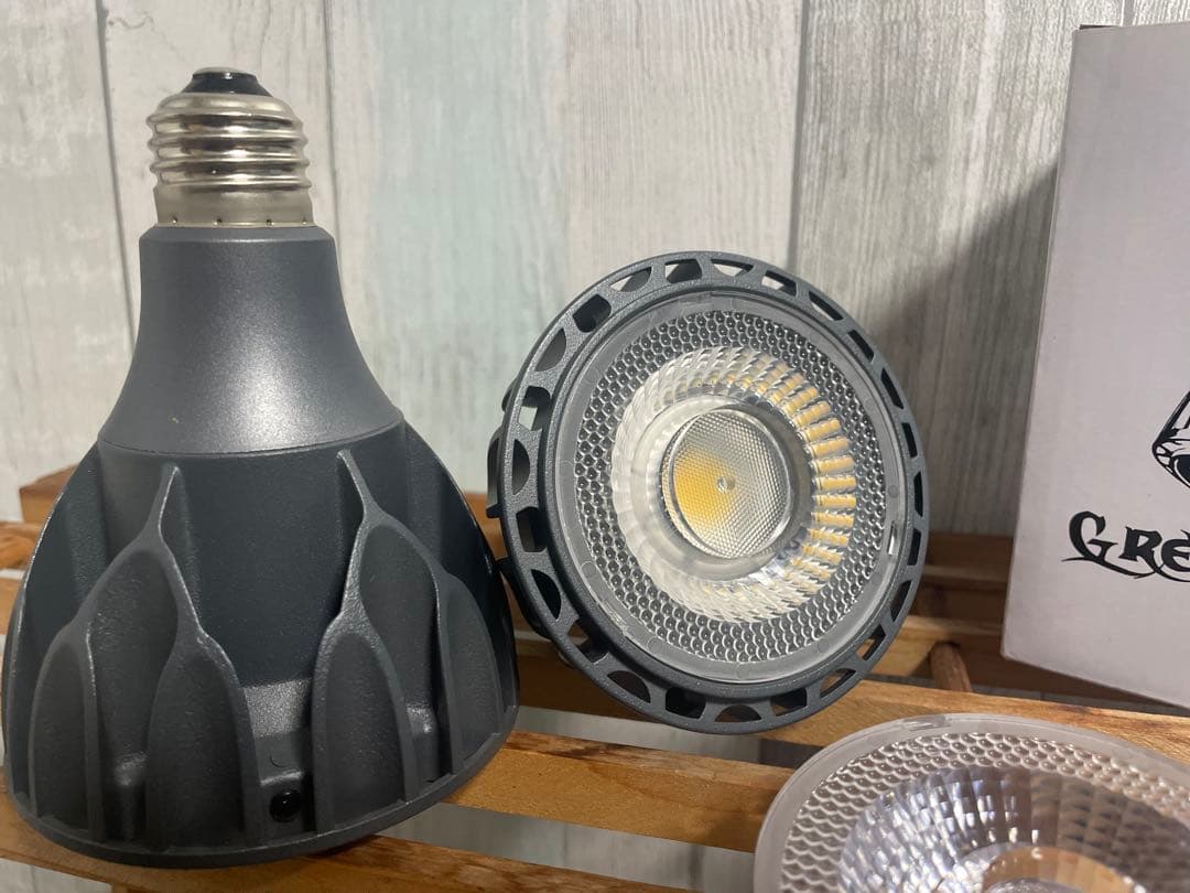 Helios Green LED 電球(広角レンズ付き)2個セット