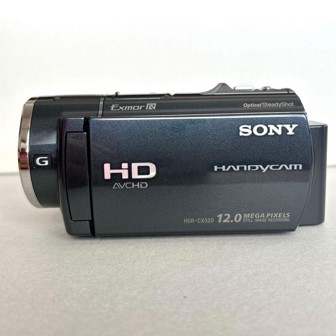 【美品】ソニー HDR-CX520V ビデオカメラ 64GB 付属品付