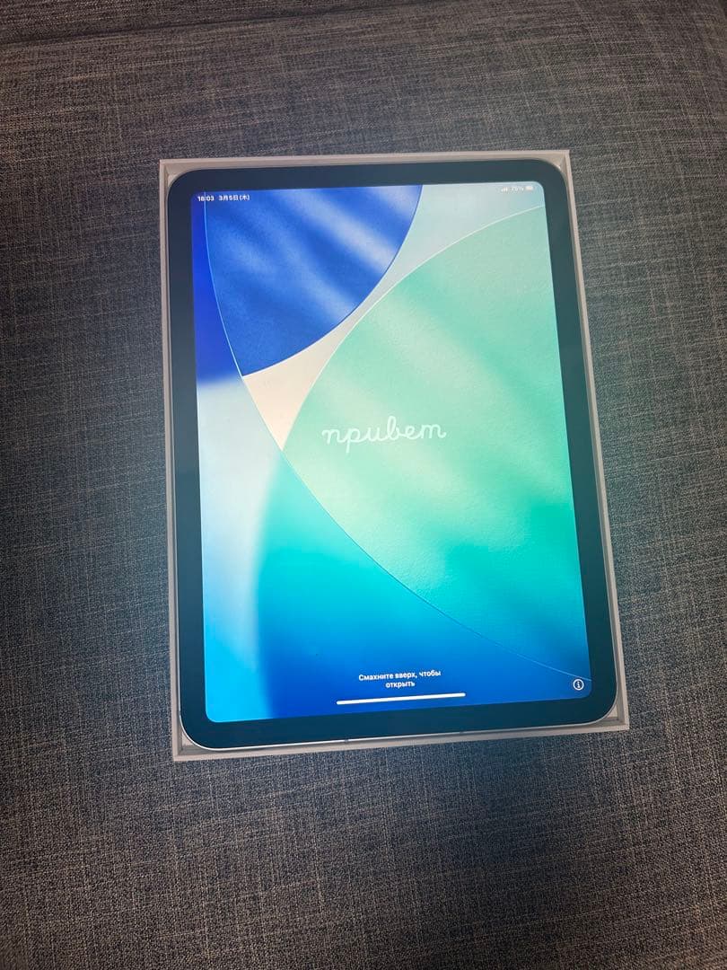 シルバー iPad 10世代10.9イン