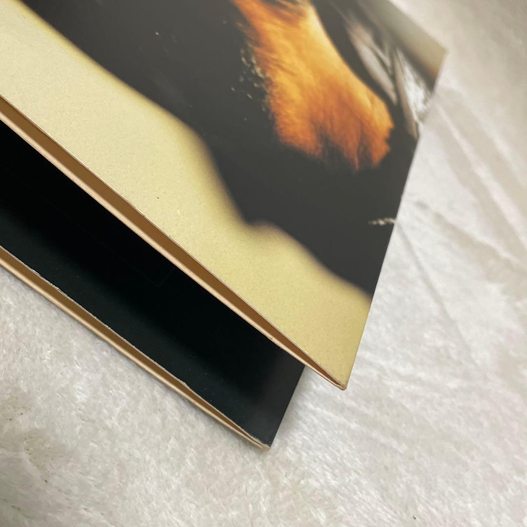 2Pac Greatest Hits LPレコード USオリジナル
