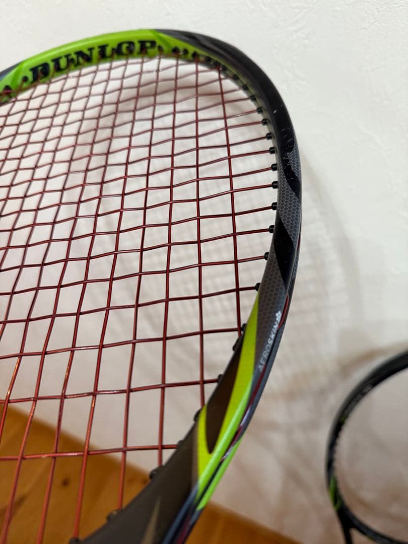 DUNLOP BIOMIMETIC 100【2本セット】