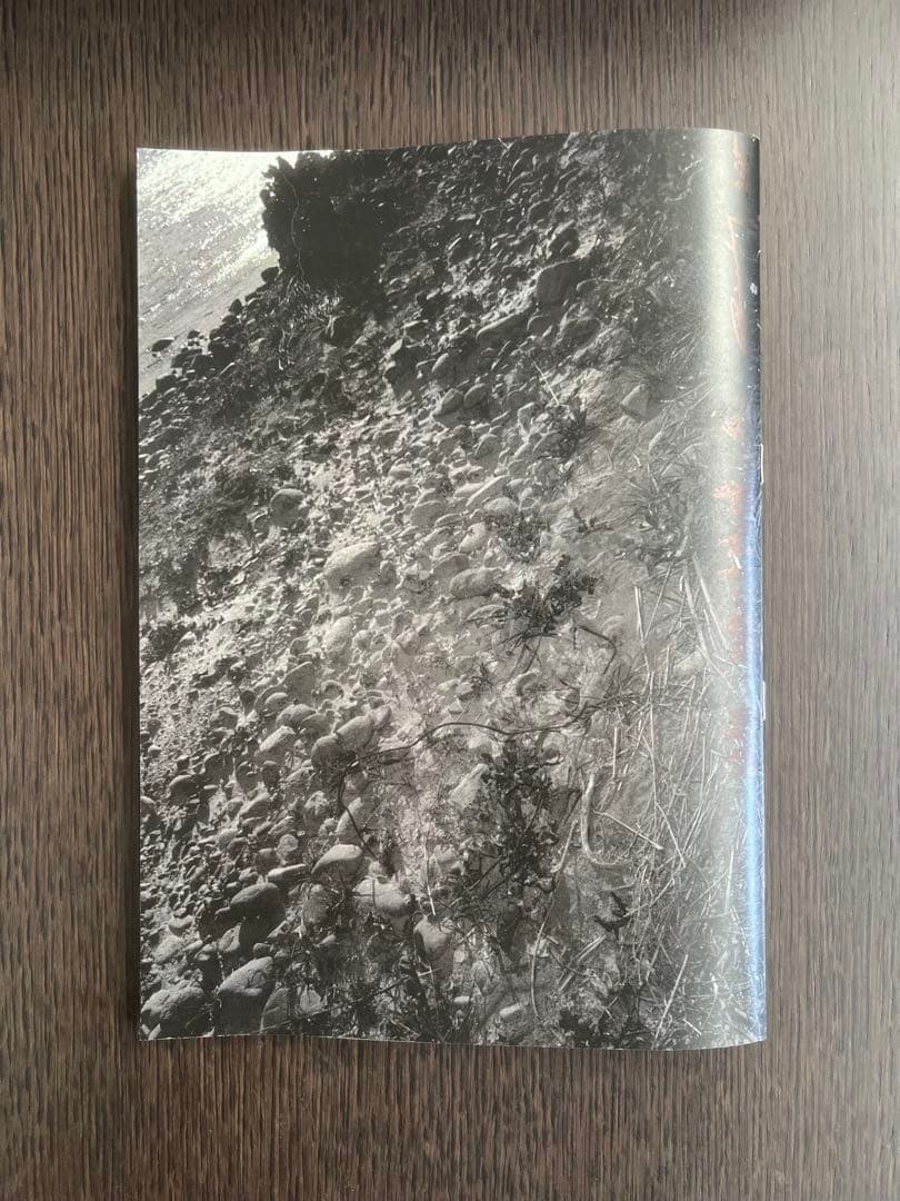 横田太輔　「植物、多摩川中流域、冬」 Daisuke Yokota