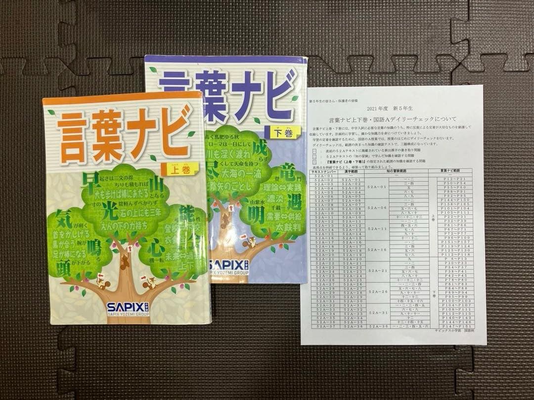 サピックス 5年 国語 小５ 1-37 全授業 一式 2023年受験　言葉ナビ