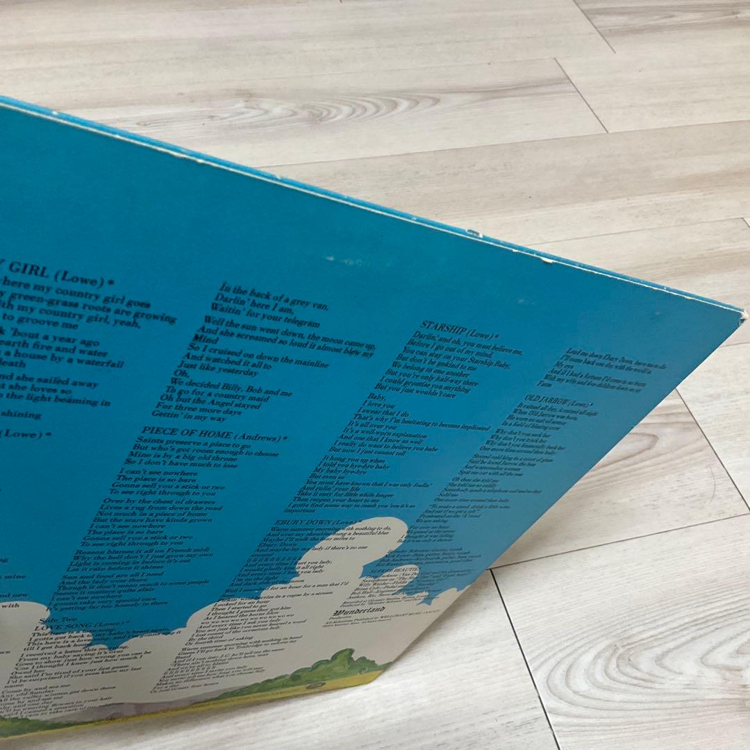 ブリンズリーシュウォーツ　Despite It All　US盤レコード