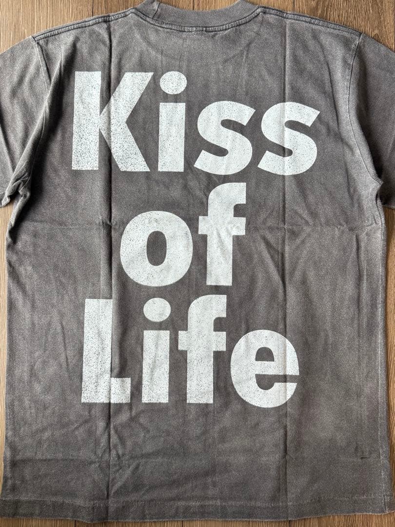 【SPECIAL】SADE RIDE パロディTシャツ　L