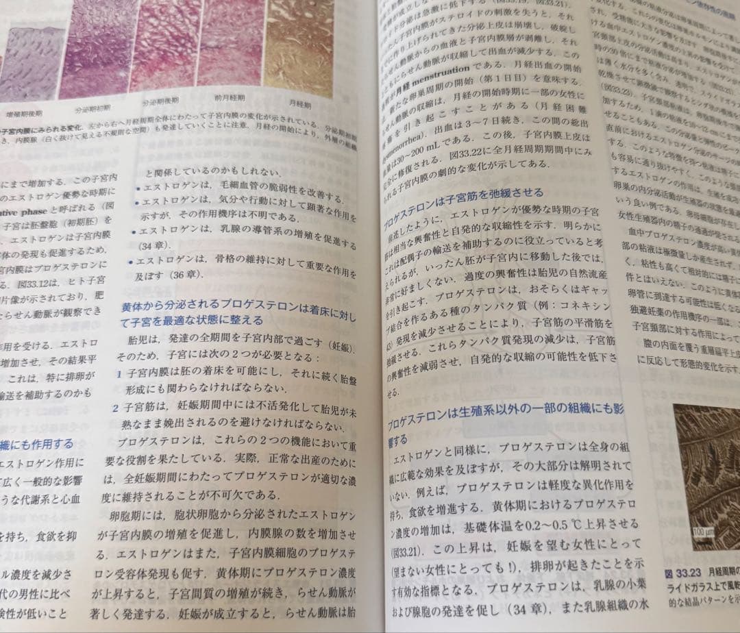 【新品未使用】Human Physiology オックスフォード 生理学 第四版