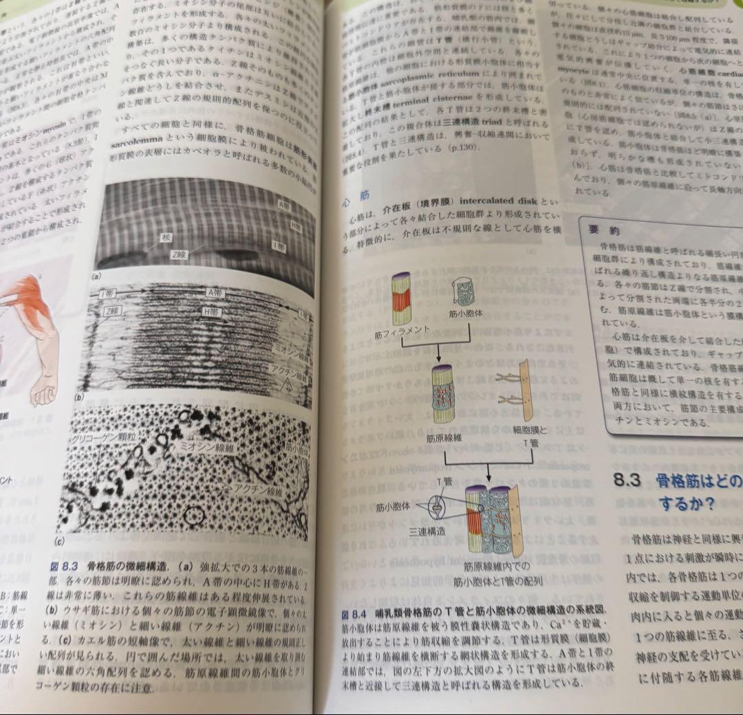 【新品未使用】Human Physiology オックスフォード 生理学 第四版