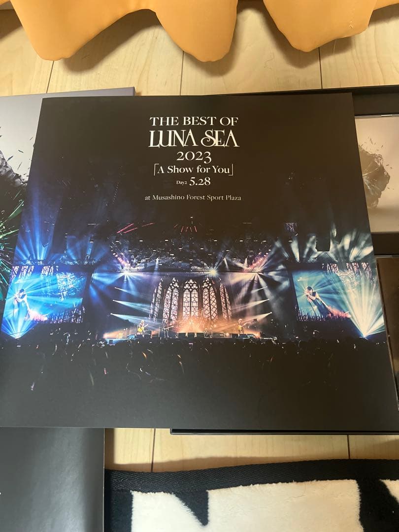 LUNA SEA STYLE slave限定版