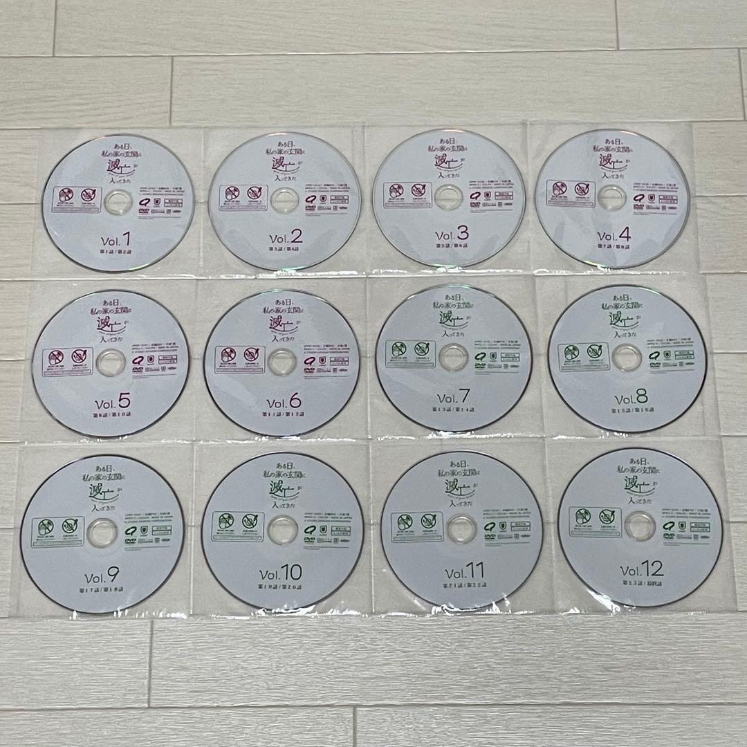 ある日 私の家の玄関に滅亡が入ってきた DVD 全巻セット全12巻 ソ・イングク