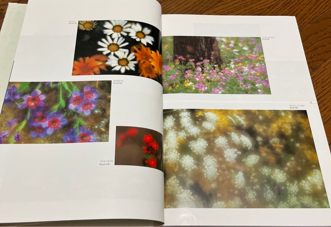 国際花と緑の博覧会記録写真集
