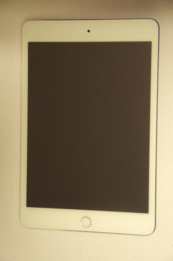 iPad mini 4 （Wi-Fi）128GB