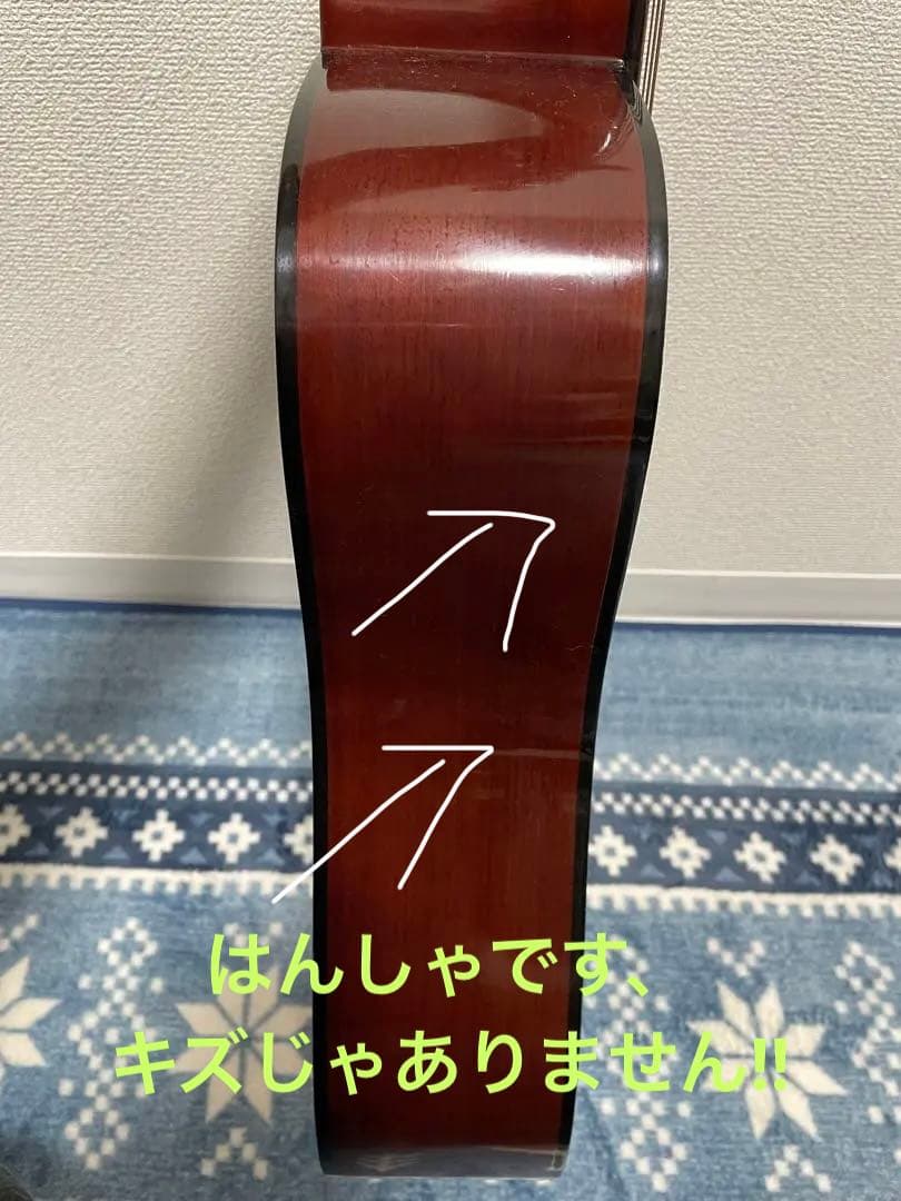 アコースティックギターteradaケース付き