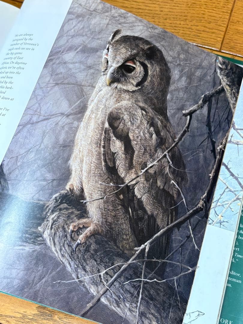 ロバートベイトマン画集【BIRDS】 洋書・野鳥画