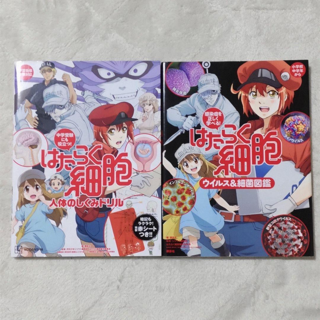 はたらく細胞シリーズ　25冊 まとめ売り