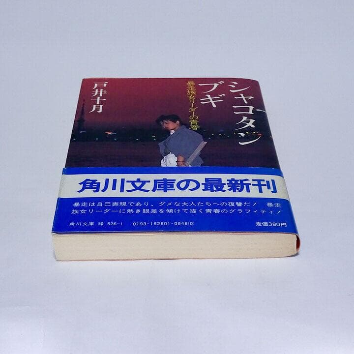 シャコタン・ブギ 戸井五月 初版帯付き