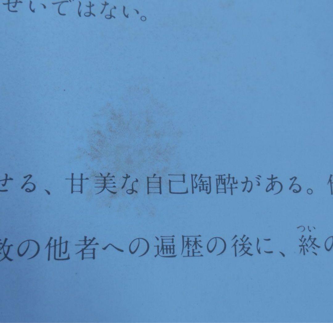【レア/値下げ不可】沢田研二 水の皮膚 写真集