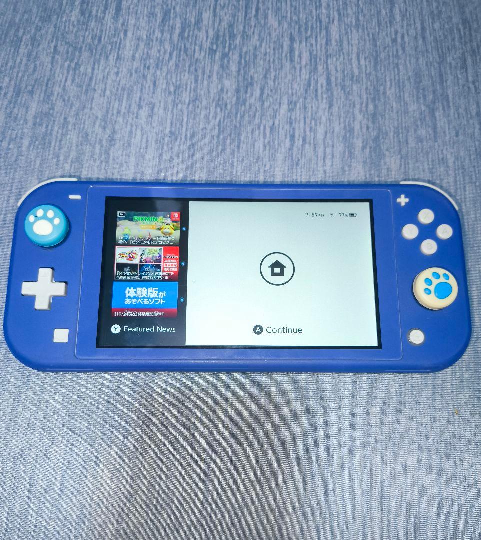 Nintendo Switch Lite 青 本体 充電器・ケース付き