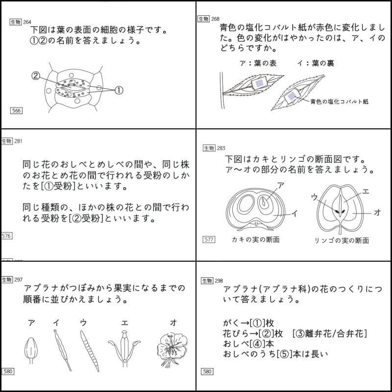 中学受験　暗記カード　理科 　生物　サピックス　予習シリーズ　コアプラス