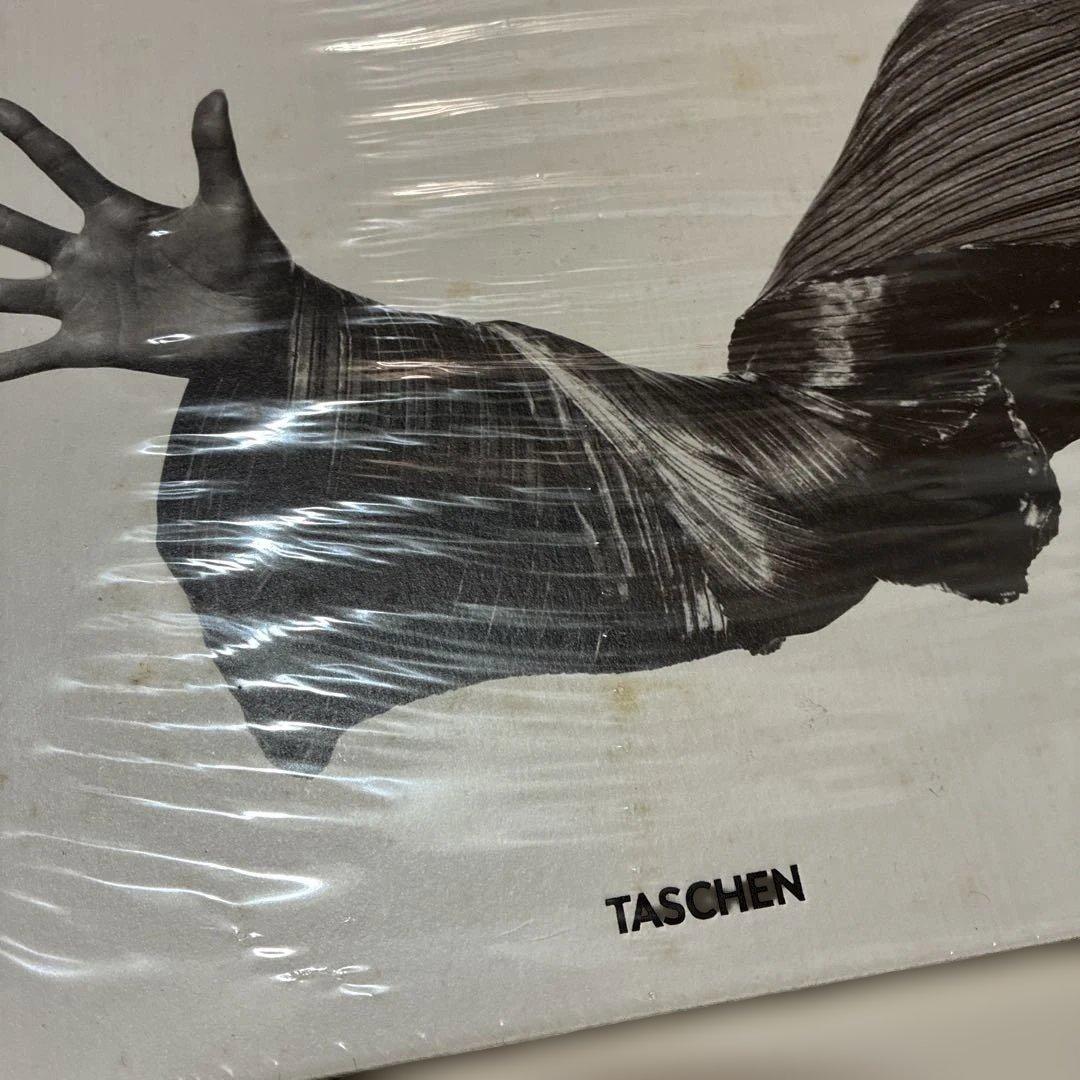 ISSEY MIYAKE 美生 TASCHEN