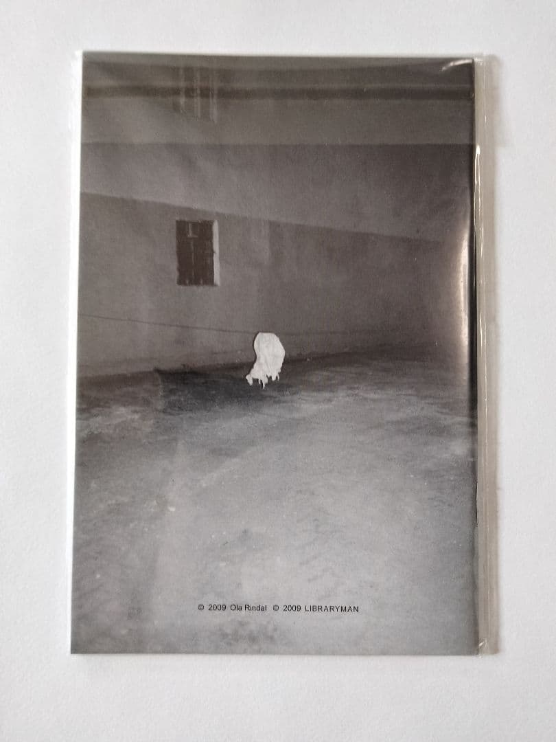 300部限定 ola rindal A DAY IN THE LIFE OF