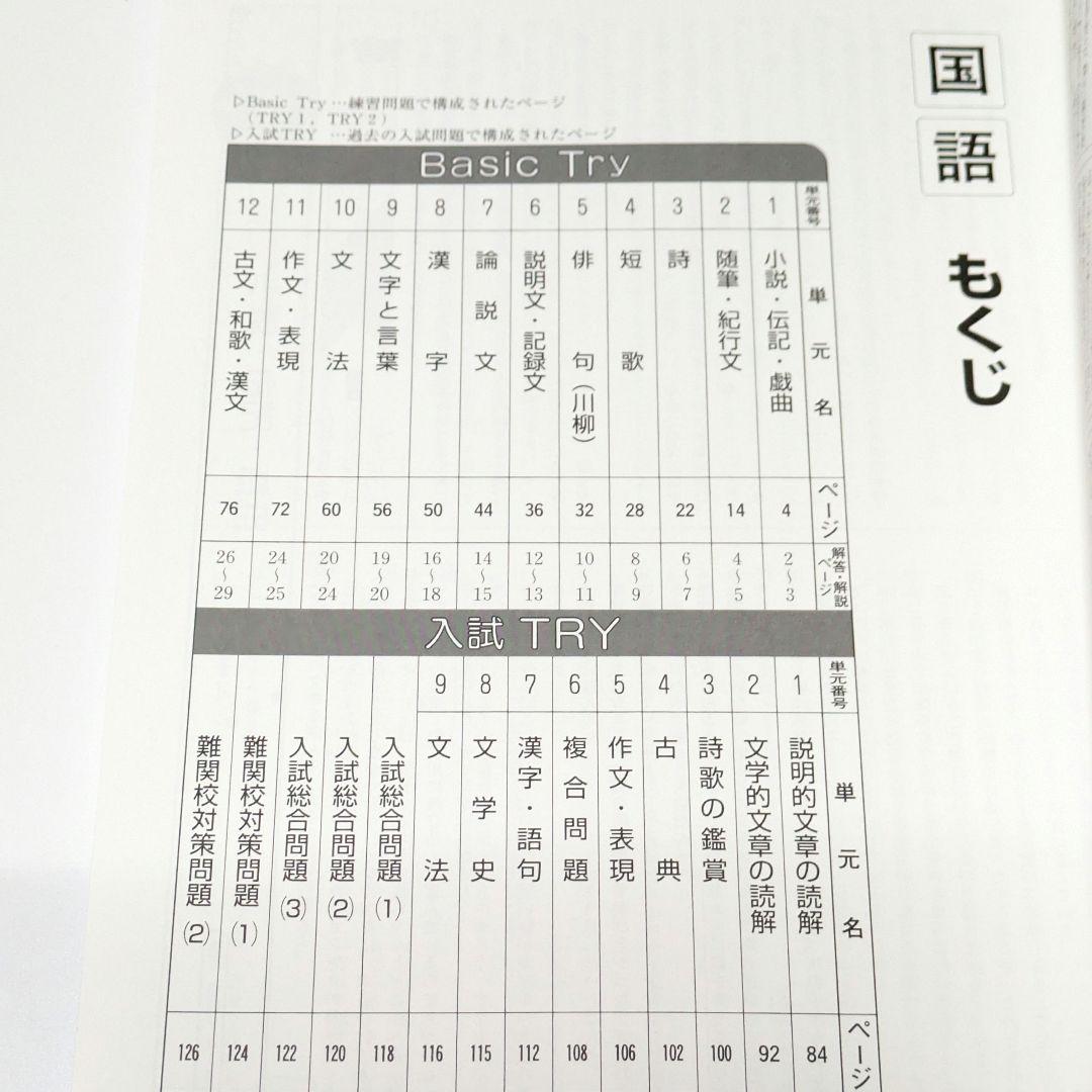 高校入試対策プログラムベスナビ 実戦力完成コース ドリル 教材 自宅学習