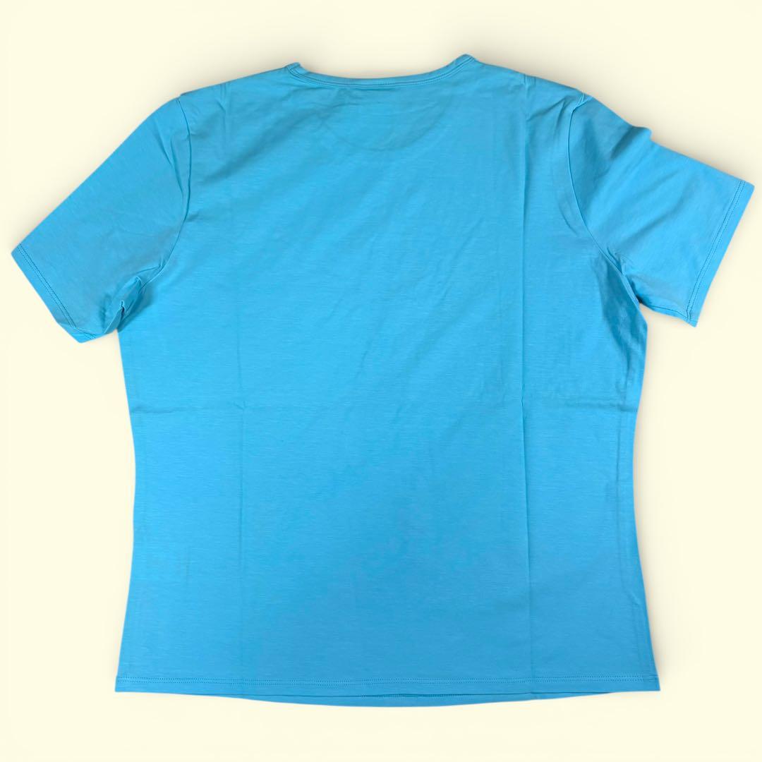 極美品 【ピッコーネ】《40》 Tシャツ カットソー 半袖 ライトブルー
