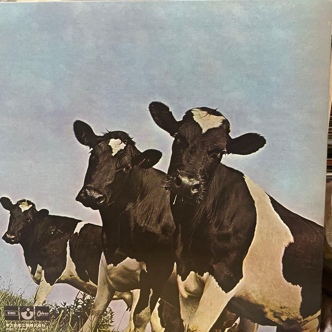 PINK FLOYD ピンクフロイド　国内初回LPレコード 3枚セット