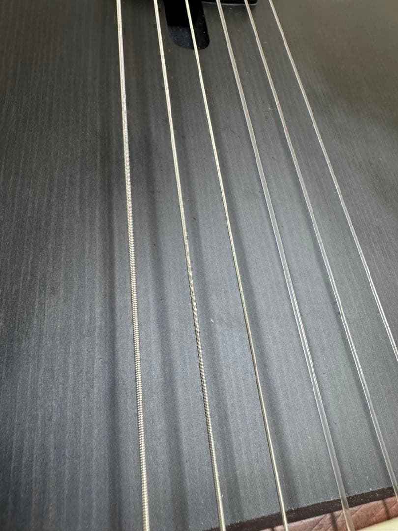 ギター Ibanez TOD10N