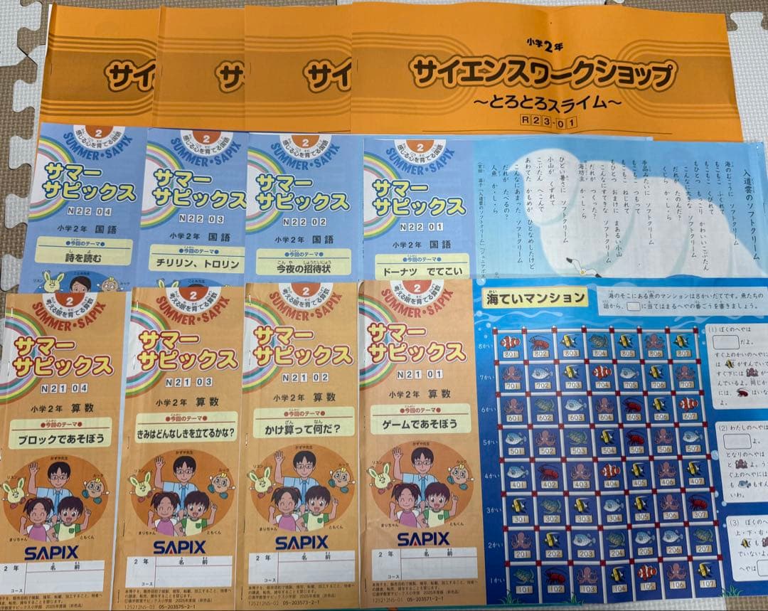 デイリーサピックス国語　２年生　2025年版 全17冊