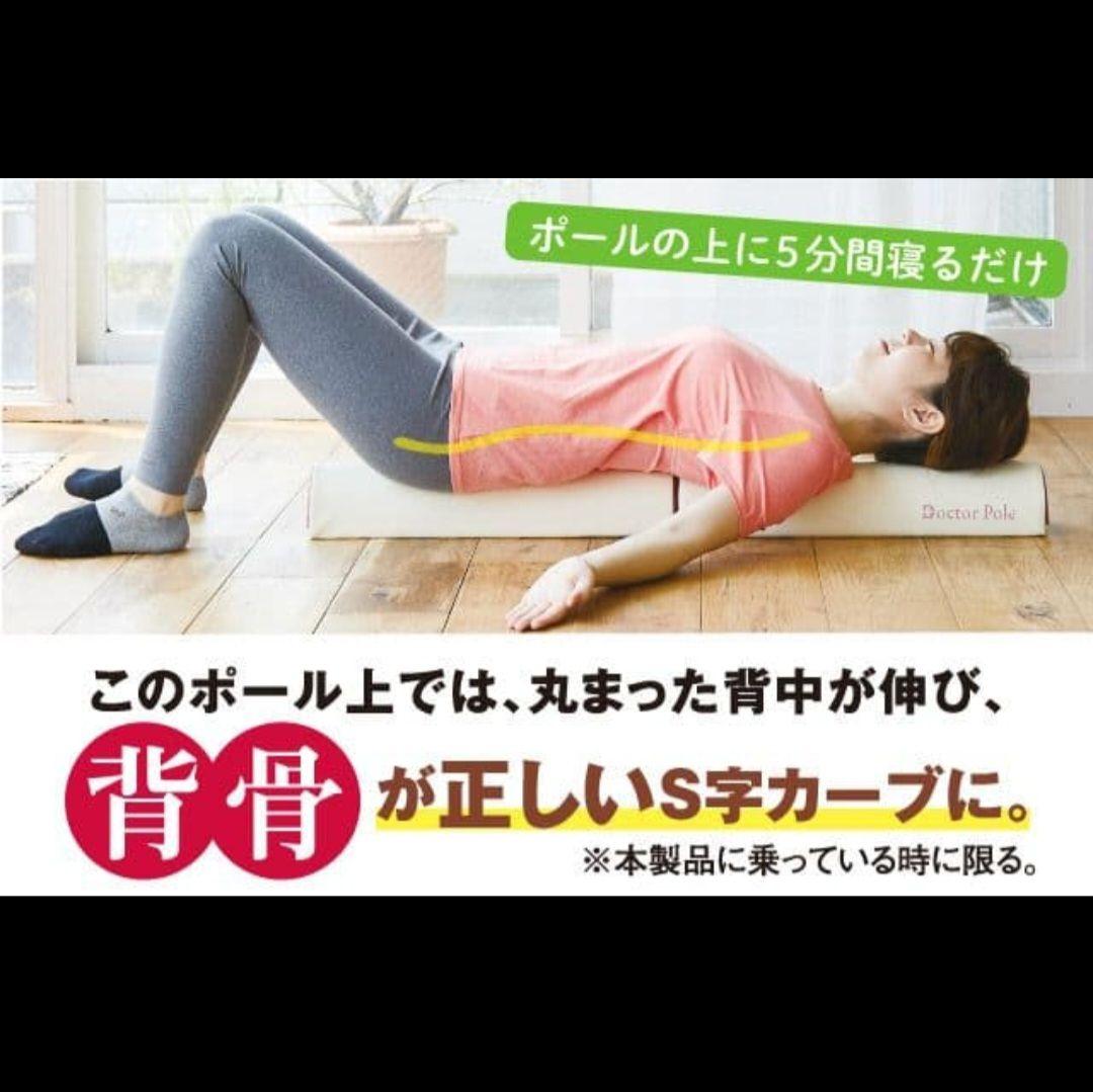 アサヒ軽金属　ストレッチポール　ドクターポール　80周年モデル　刺繍ネコ