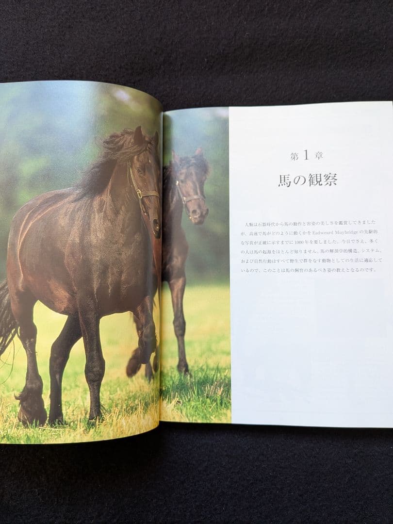 馬を飼うための完全ガイド　改訂版　飼育　管理　馬装具　手入れ　厩舎　掃除　病気