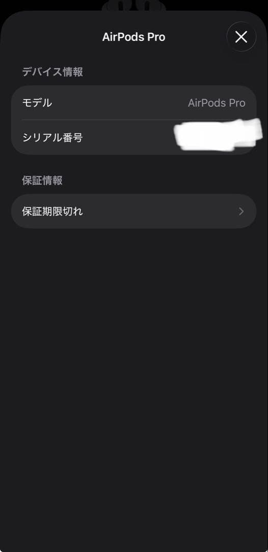 Apple AirPods Pro（第2世代） [USB-C]