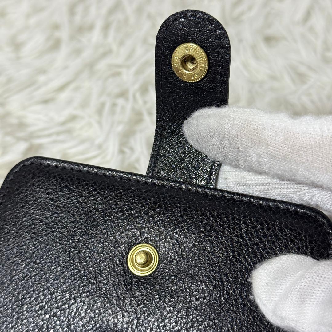 未使用✨IL BISONTE イルビゾンテ　レザー　二つ折り財布　ブラック