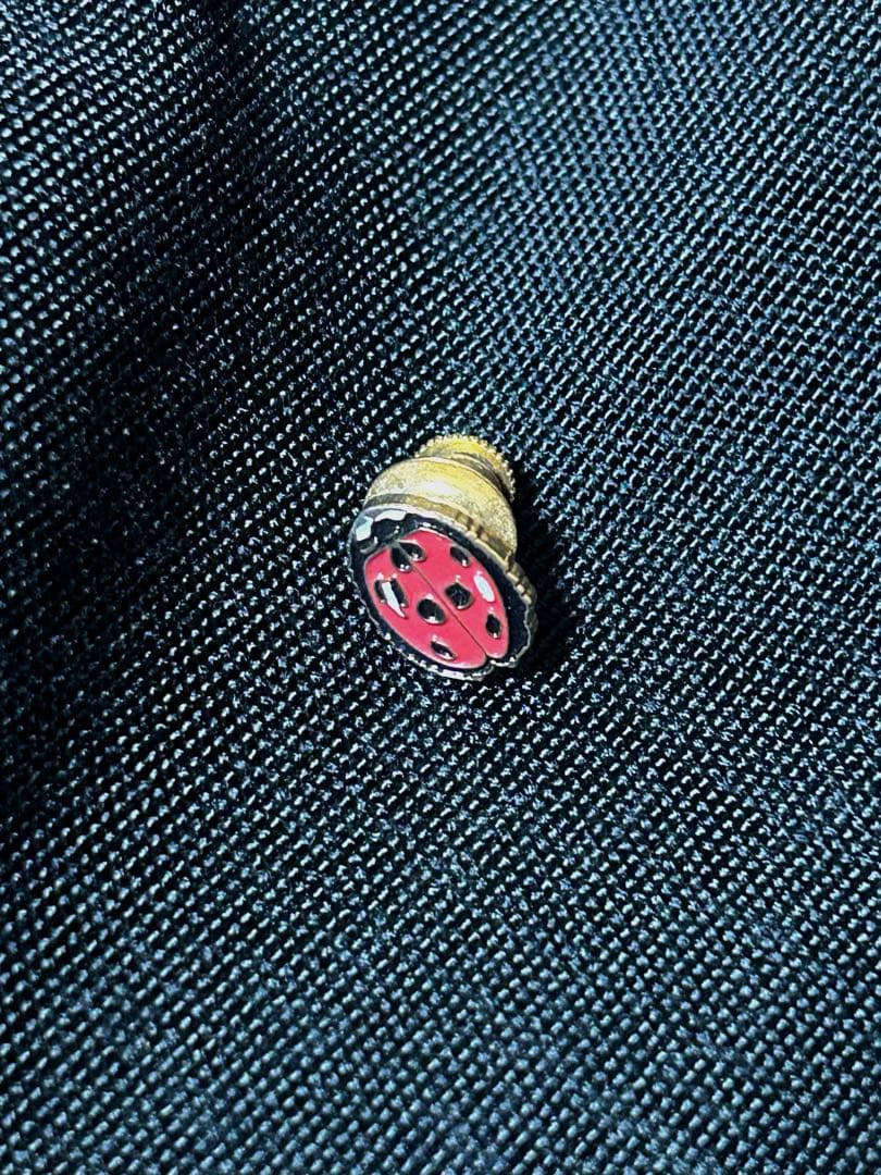supreme Ladybug Pin ピンバッジ　キムタク使用　木村拓哉