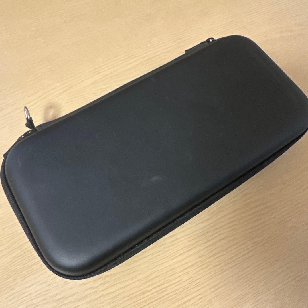 Nintendo Switch Lite グレー 専用ケース付き