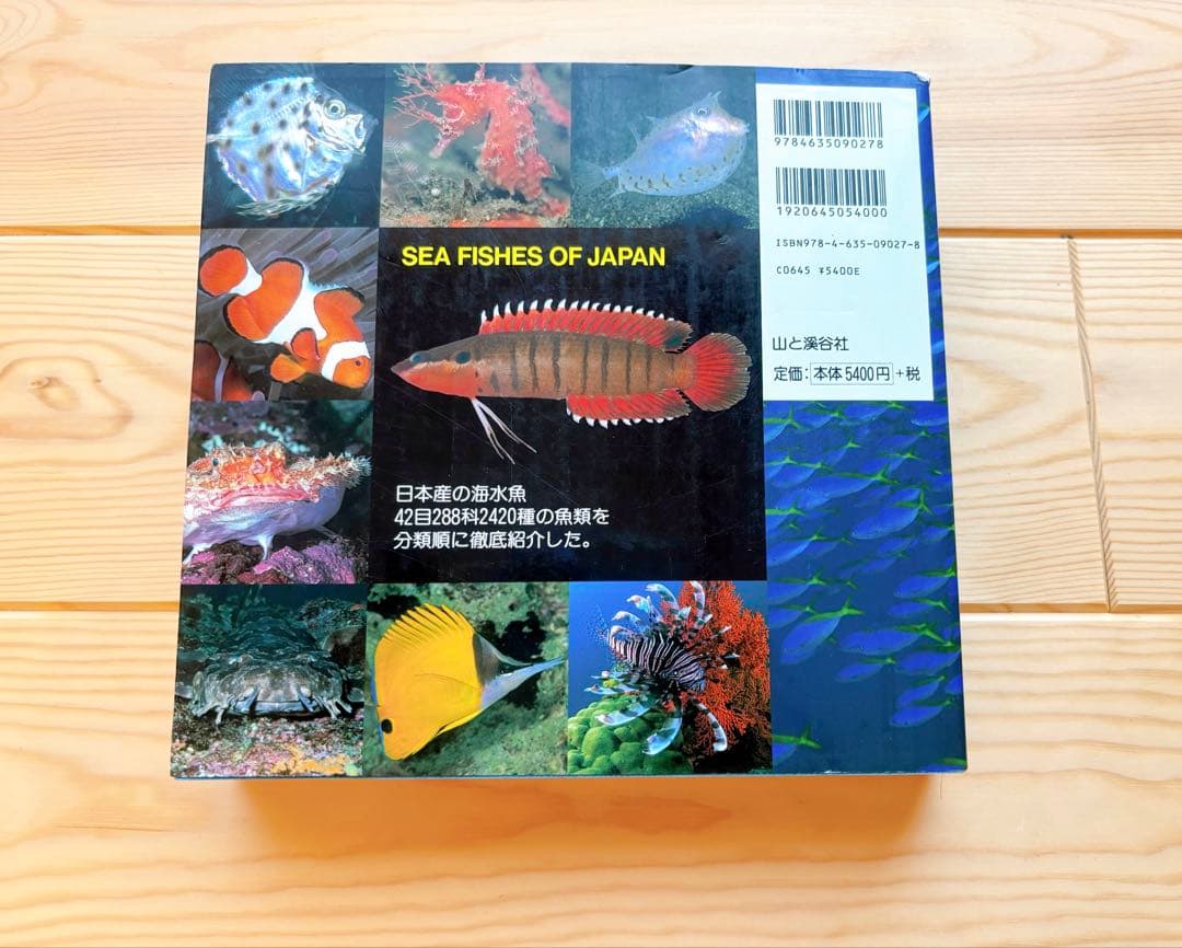 ☆美品☆ 山渓カラー名鑑 日本の海水魚
